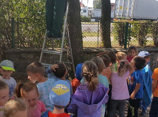 My o pszczółki i owady dbamy,więc domki zakładamy gr. II