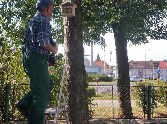 My o pszczółki i owady dbamy,więc domki zakładamy gr. II