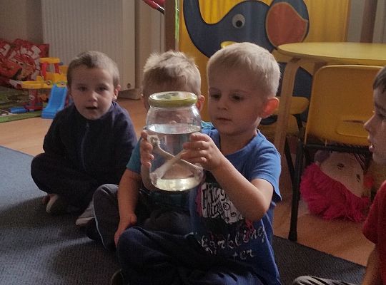 Robimy doświadczenia GR II