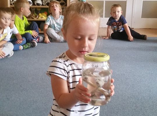 Robimy doświadczenia GR II