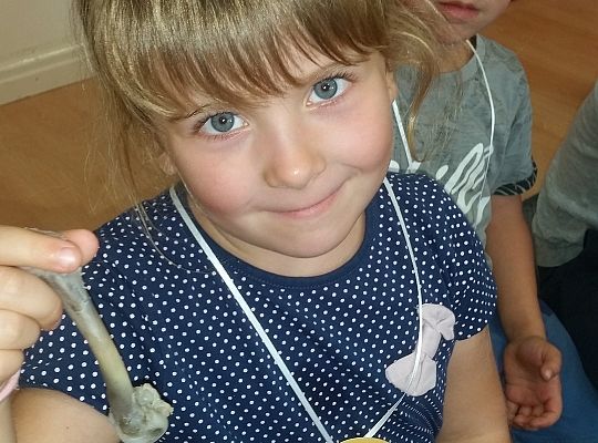 Robimy doświadczenia GR II