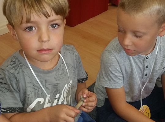 Robimy doświadczenia GR II