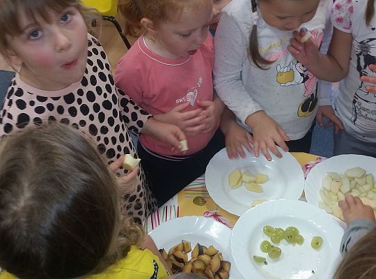 Wzmacniamy odporność przed zimą gr. II