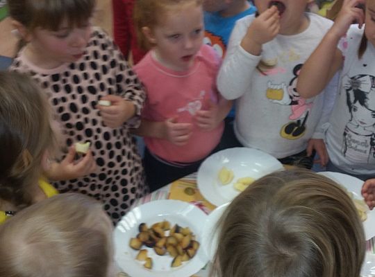 Wzmacniamy odporność przed zimą gr. II