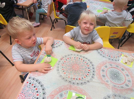 Gr. I Jabłuszka z masy solnej