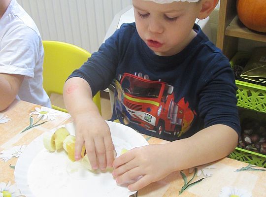 Gr. I szaszłyki owocowe