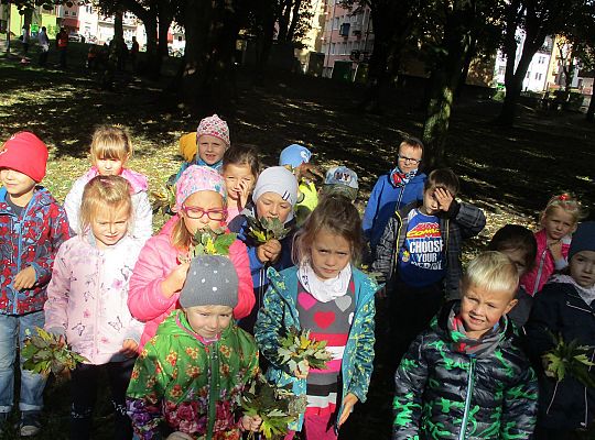 Gr.III Wyjście do parku