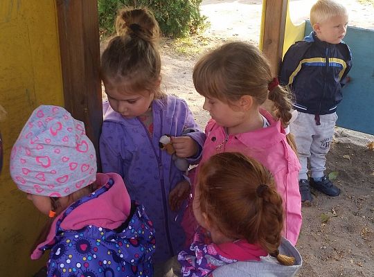 KORZYSTAMY JESZCZE Z POGODY GR. I i II