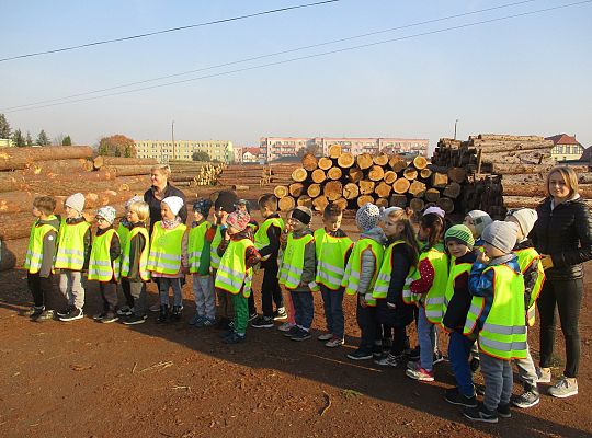 Gr. III i IV Wizyta w tartaku