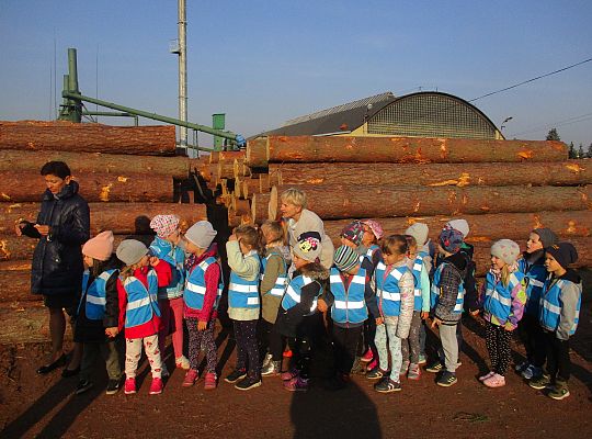 Gr. III i IV Wizyta w tartaku