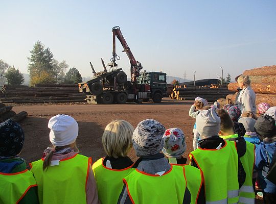 Gr. III i IV Wizyta w tartaku