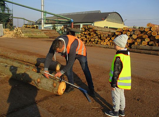 Gr. III i IV Wizyta w tartaku