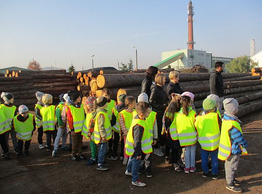 Gr. III i IV Wizyta w tartaku