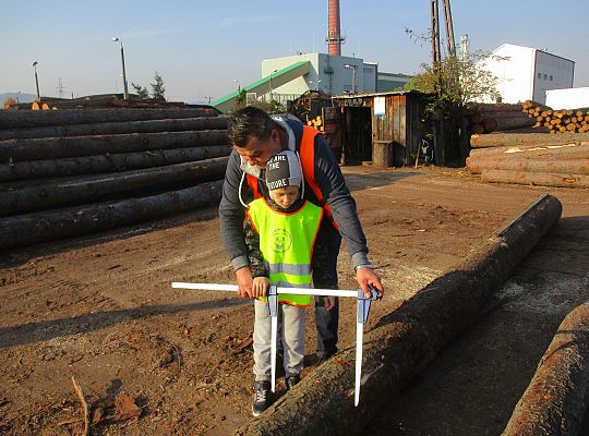 Gr. III i IV Wizyta w tartaku