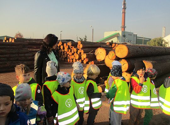 Gr. III i IV Wizyta w tartaku