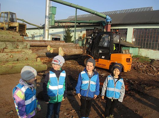 Gr. III i IV Wizyta w tartaku