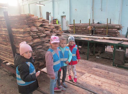 Gr. III i IV Wizyta w tartaku