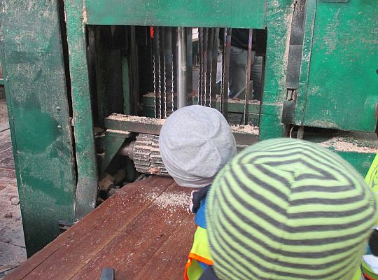 Gr. III i IV Wizyta w tartaku