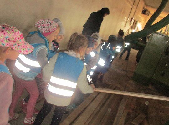 Gr. III i IV Wizyta w tartaku