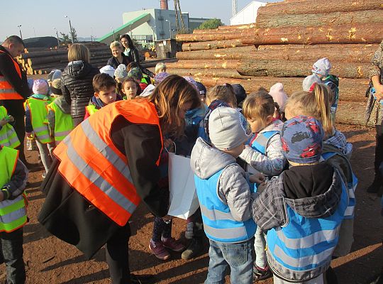 Gr. III i IV Wizyta w tartaku