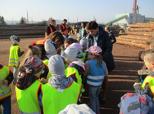 Gr. III i IV Wizyta w tartaku