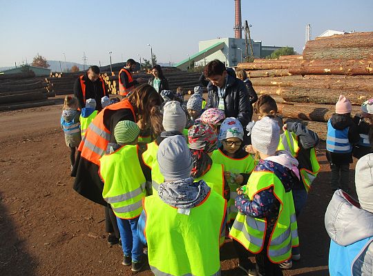 Gr. III i IV Wizyta w tartaku