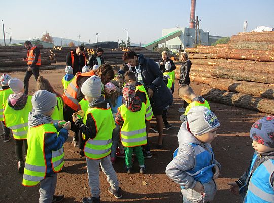 Gr. III i IV Wizyta w tartaku