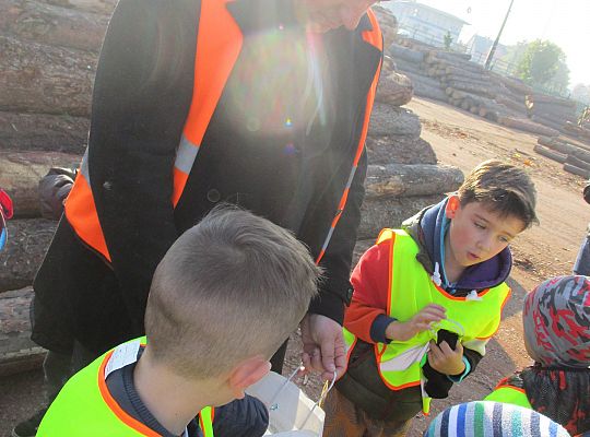 Gr. III i IV Wizyta w tartaku