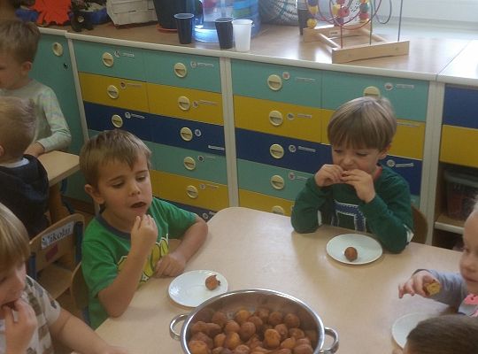 Gr. II "Lubimy niespodzianki"