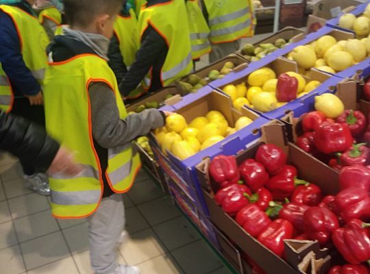 Wycieczka do sklepu gr IV- rozpoznajemy owoce