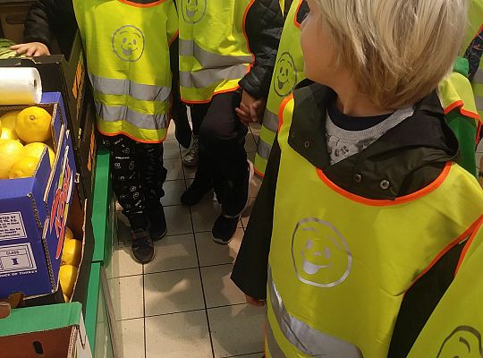 Wycieczka do sklepu gr IV- rozpoznajemy owoce