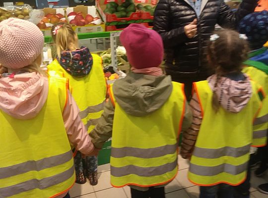 Wycieczka do sklepu gr IV- rozpoznajemy owoce