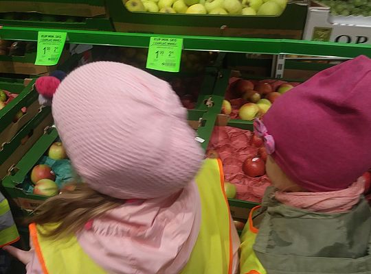 Wycieczka do sklepu gr IV- rozpoznajemy owoce