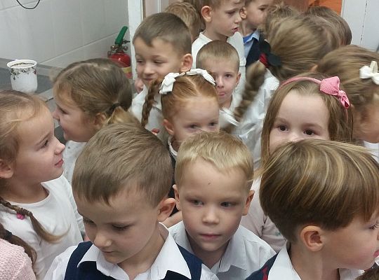 Gr. II Poznajemy urządzenia elektryczne