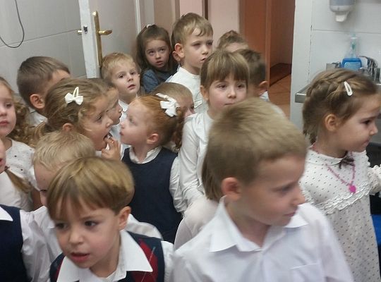 Gr. II Poznajemy urządzenia elektryczne