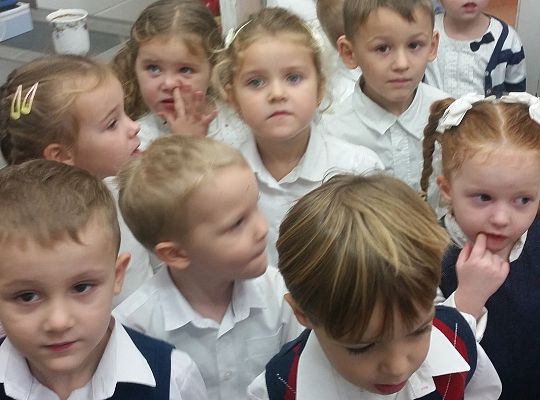 Gr. II Poznajemy urządzenia elektryczne