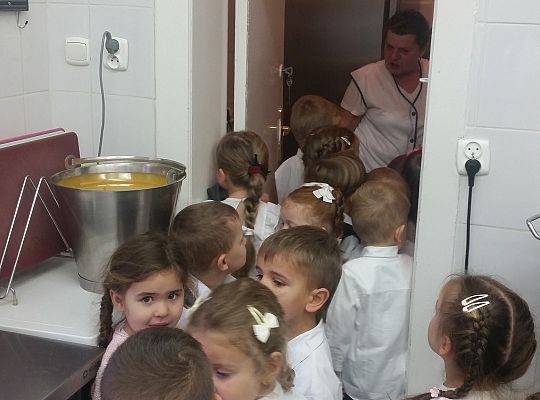 Gr. II Poznajemy urządzenia elektryczne