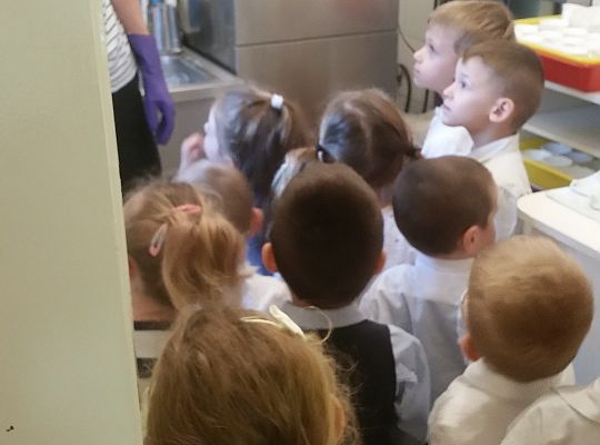 Gr. II Poznajemy urządzenia elektryczne