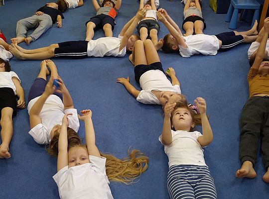 GR IV -Ćwiczenia gimnastyczne