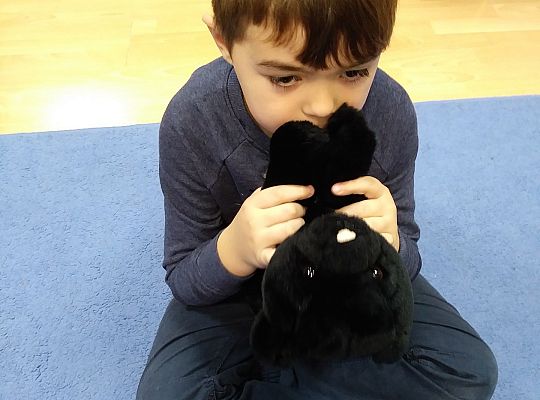 Gr IV-Dzień Pluszowego Misia