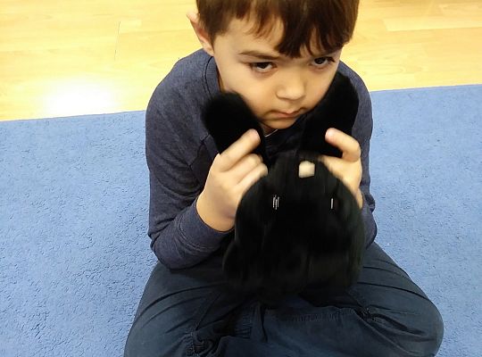 Gr IV-Dzień Pluszowego Misia