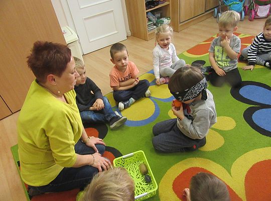 GR I -Sałatka owocowa