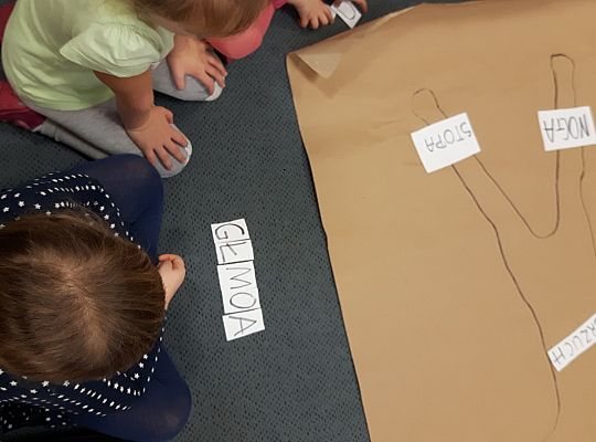 gr II zajęcia w grupach