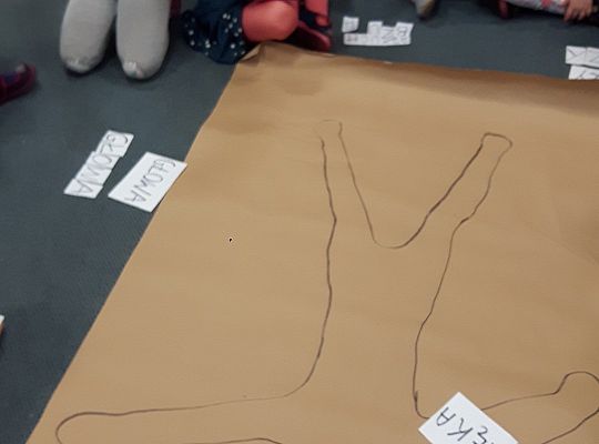 gr II zajęcia w grupach