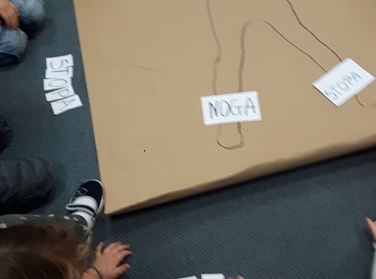 gr II zajęcia w grupach