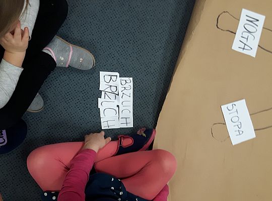 gr II zajęcia w grupach