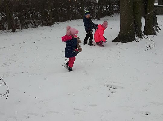 Gr. II Zabawy na śniegu