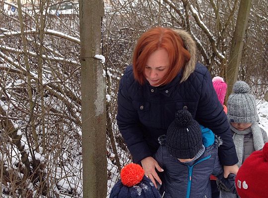 Gr. I Dokarmiamy Ptaki