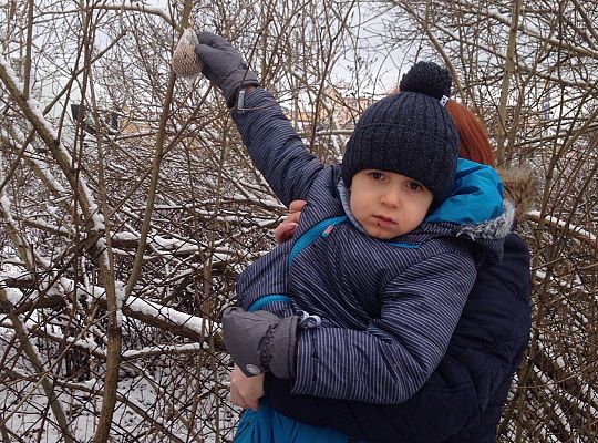 Gr. I Dokarmiamy Ptaki