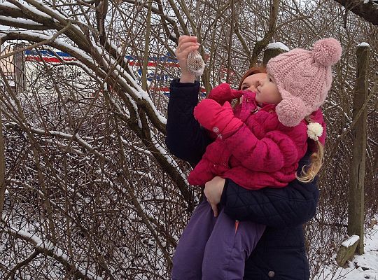 Gr. I Dokarmiamy Ptaki